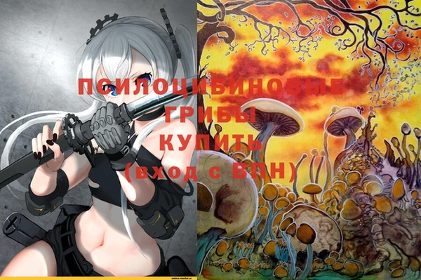 молекула духа Алексин