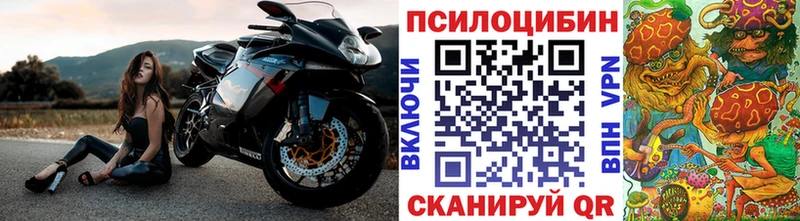 Псилоцибиновые грибы Psilocybine cubensis  сколько стоит  Ликино-Дулёво 